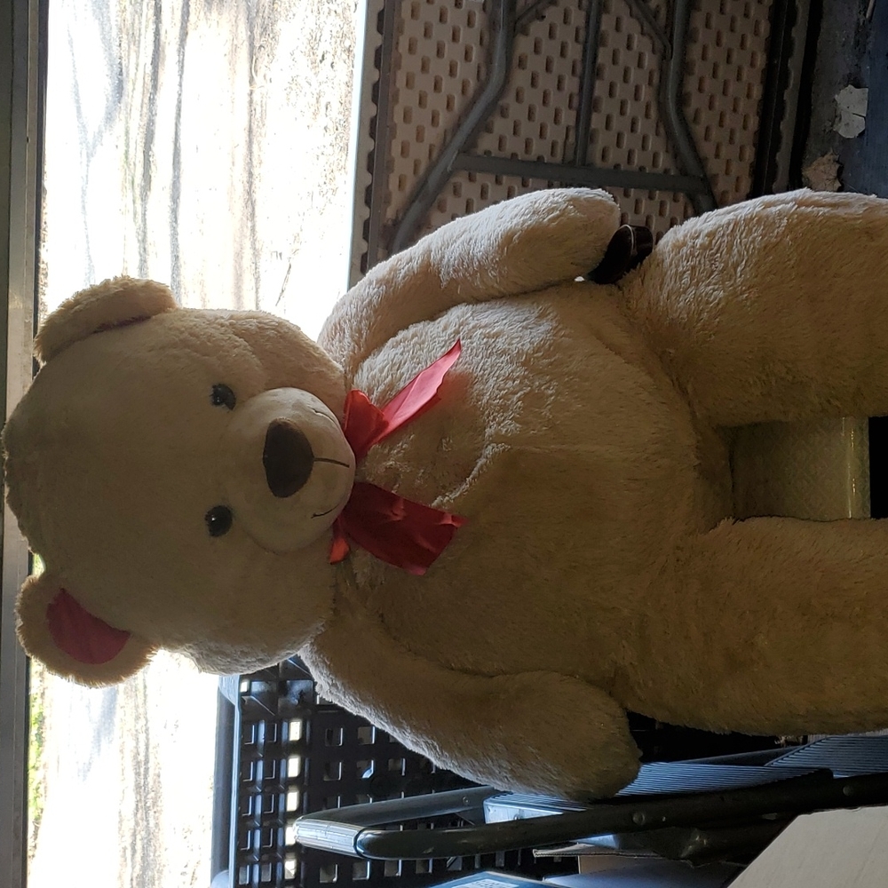 Teddy bear